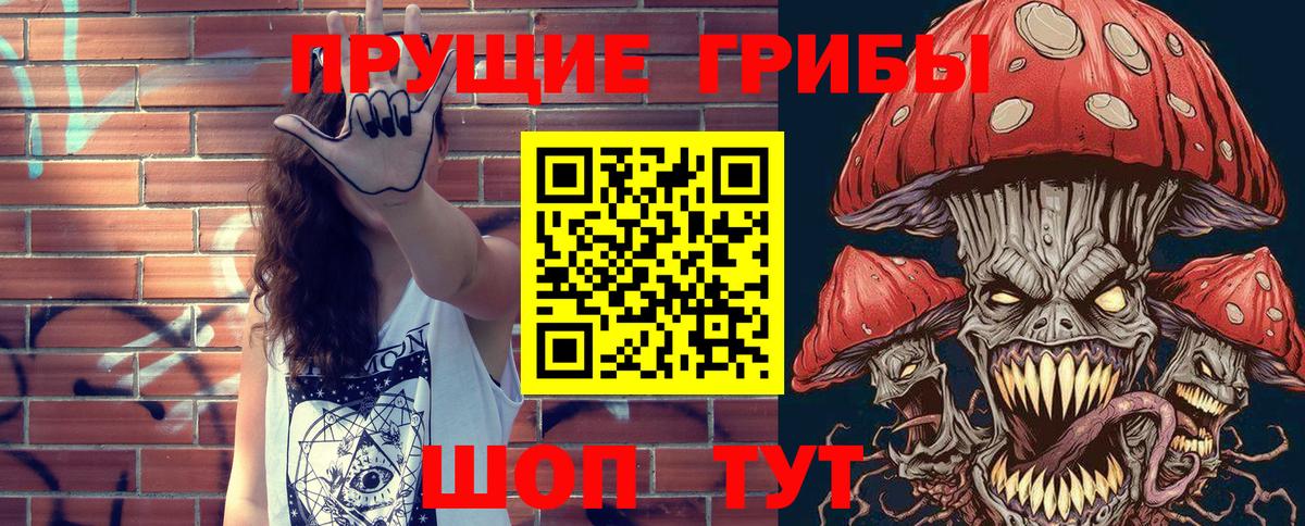 Псков  наркошоп  Вход с VPN  Псилоцибиновые грибы Psilocybe 
